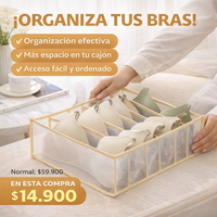 ORGANIZADOR DE SOSTEN